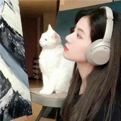 圣诞怪杰